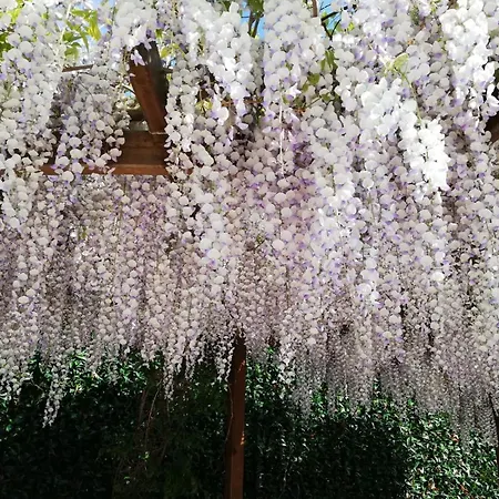 بيت للعطل Pre Fleuri *