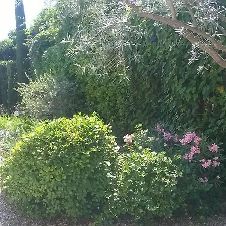 Vakantiehuis Pre Fleuri Antibes